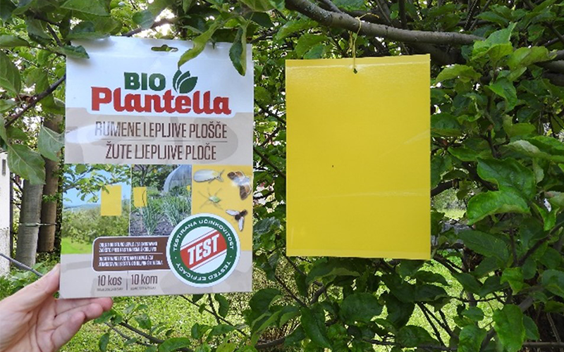 Bio Plantella színcsapdák használata