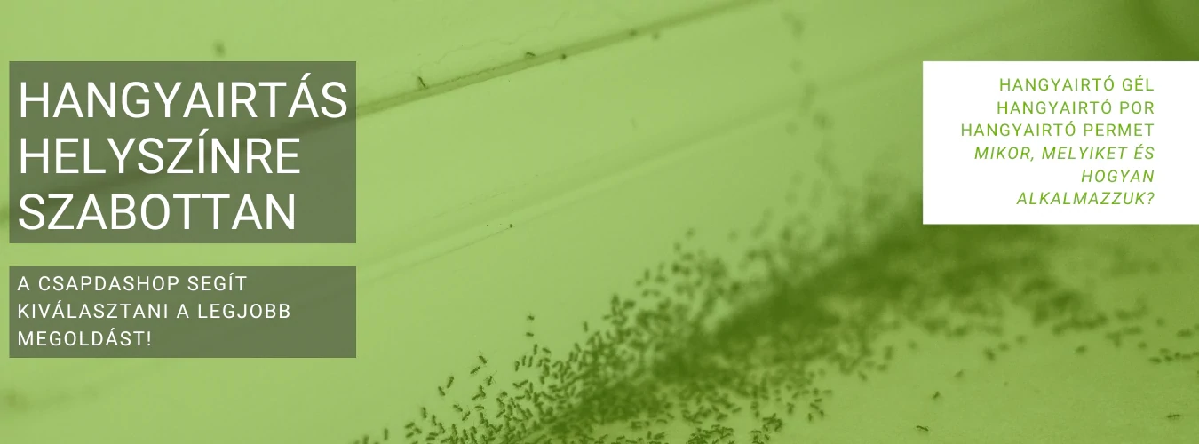 Hangyairtás házilag a csapdashop professzionális hangyairtó gél és hangyacsapdáival