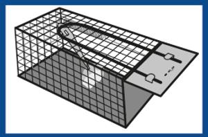 Élvefogó csapda egerek ellen