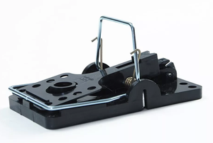 Nyaktilós egérfogó