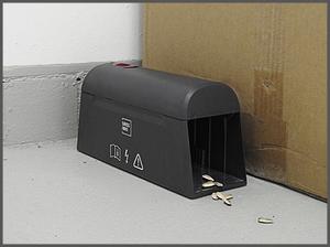 Swissinno elektromos egércsapda