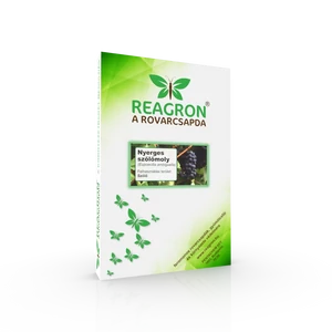 REAGRON® Nyerges szőlőmoly feromoncsapda - Hatékony védelem a nyerges szőlőmoly kártétele ellen szőlőültetvényekben.
