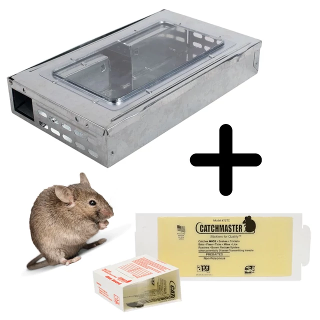 Csoportos egércsapda ragadólappal