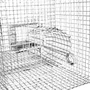 Csoportos patkány élvefogó 50x25x25